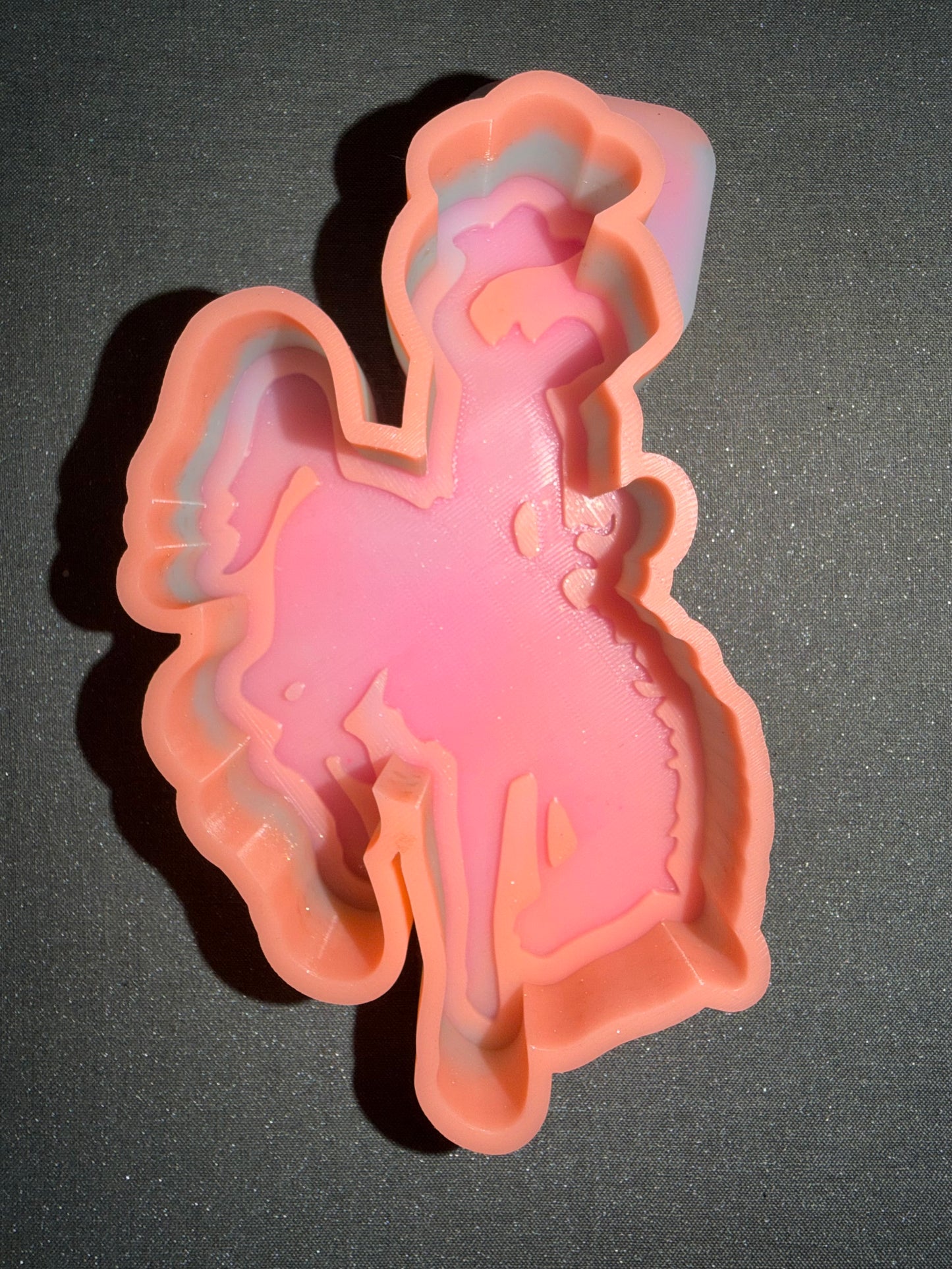 Freshie Customs of the Month!